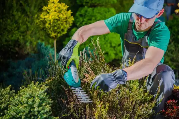 landscaping services Smithton